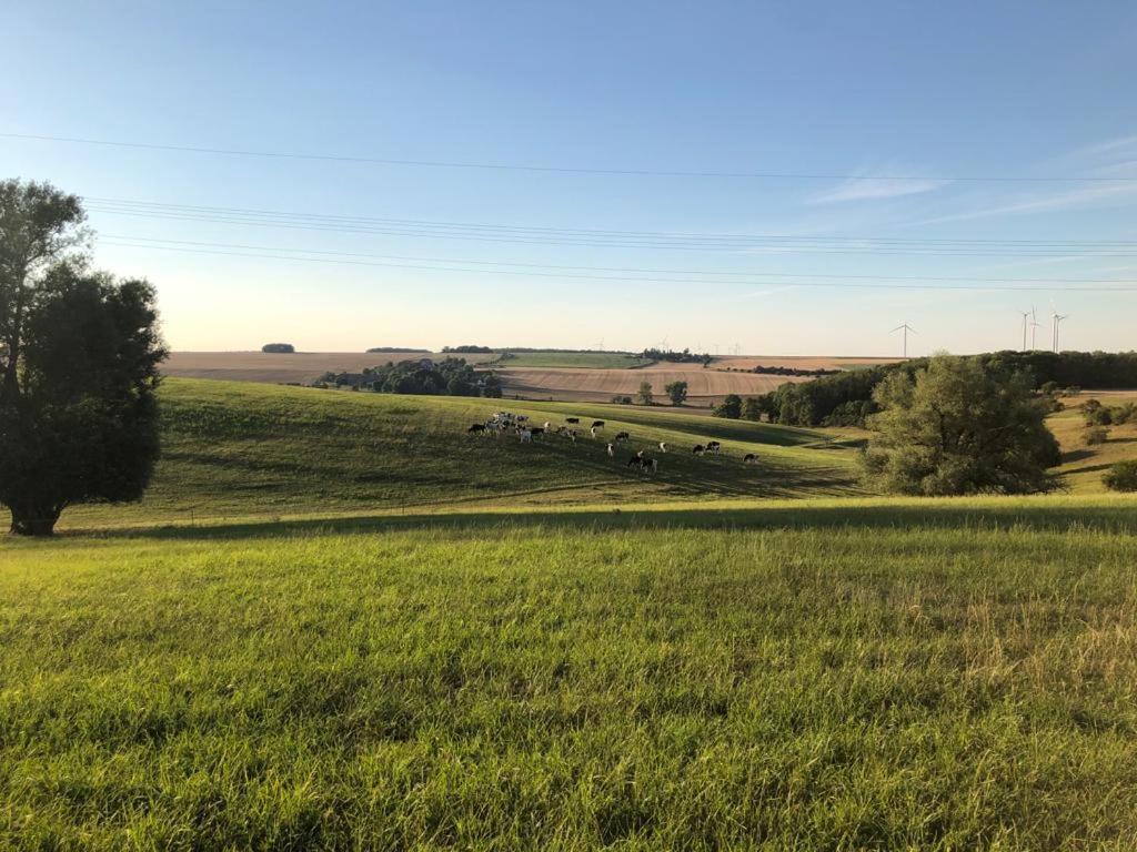 An Der Stadtmauer Buergel Burgel  Bagian luar foto